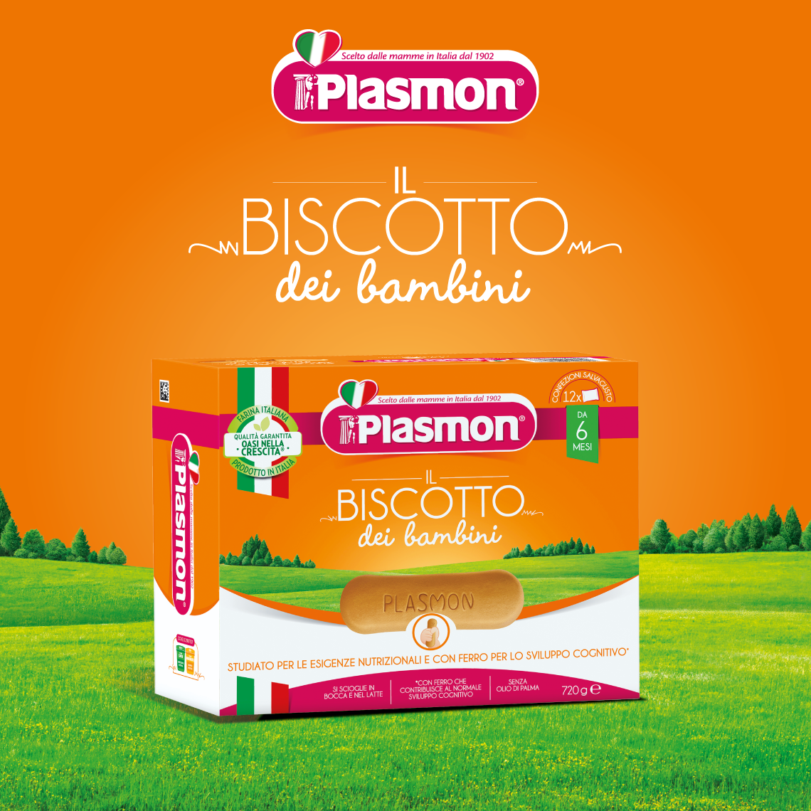 Plasmon