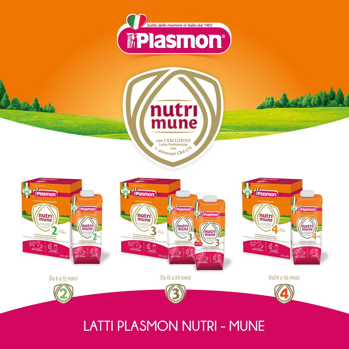 Plasmon